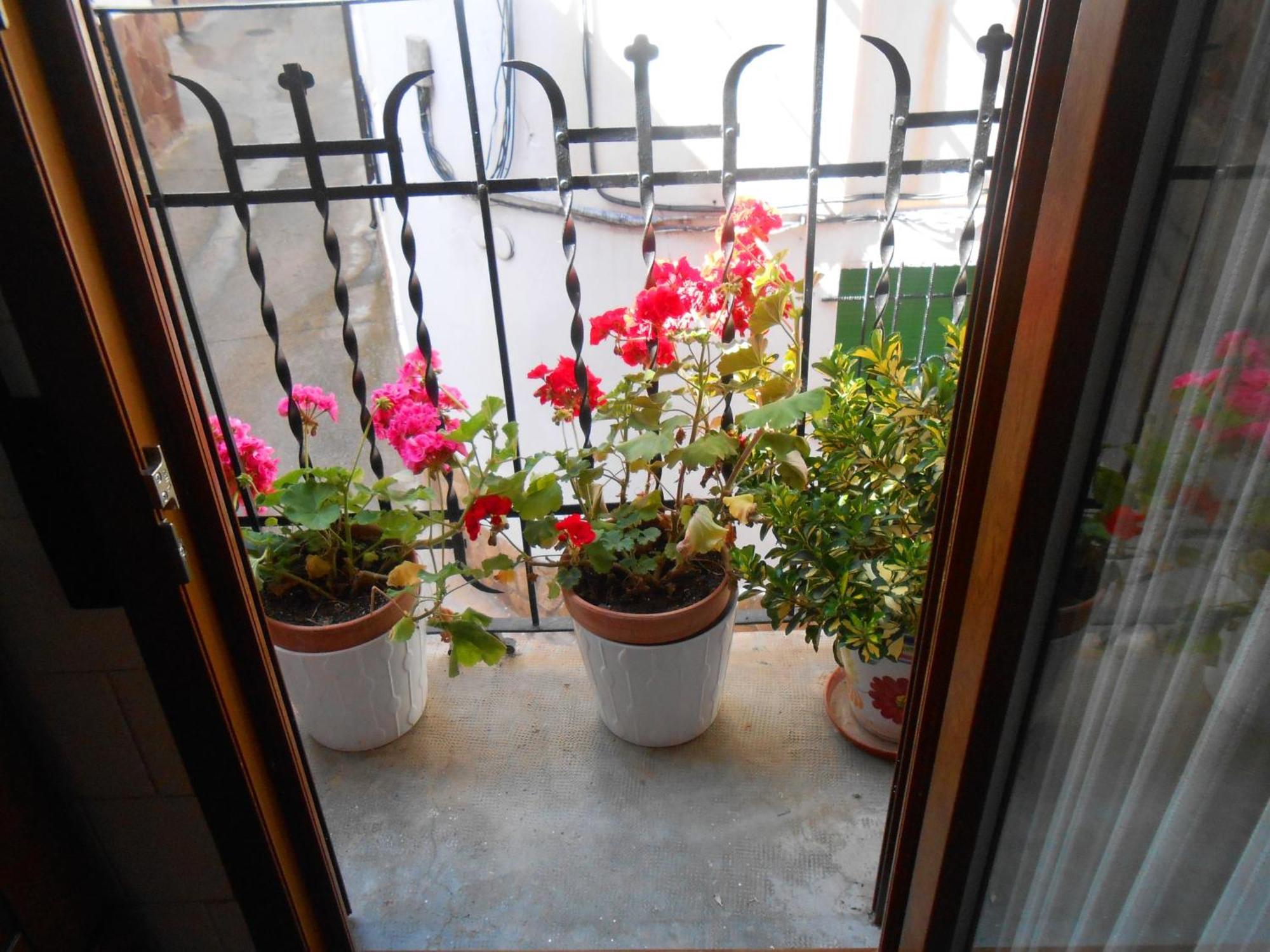 Casa Navarrete El Cuervo  外观 照片